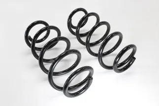 SACHS Front Coil Spring And Related Parts - 8K0411105DH